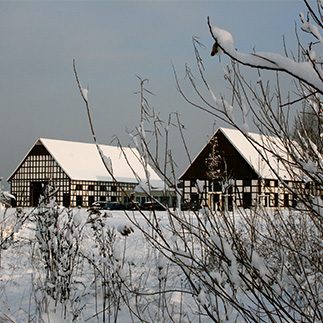 03_weihnachten_privat_323x323px